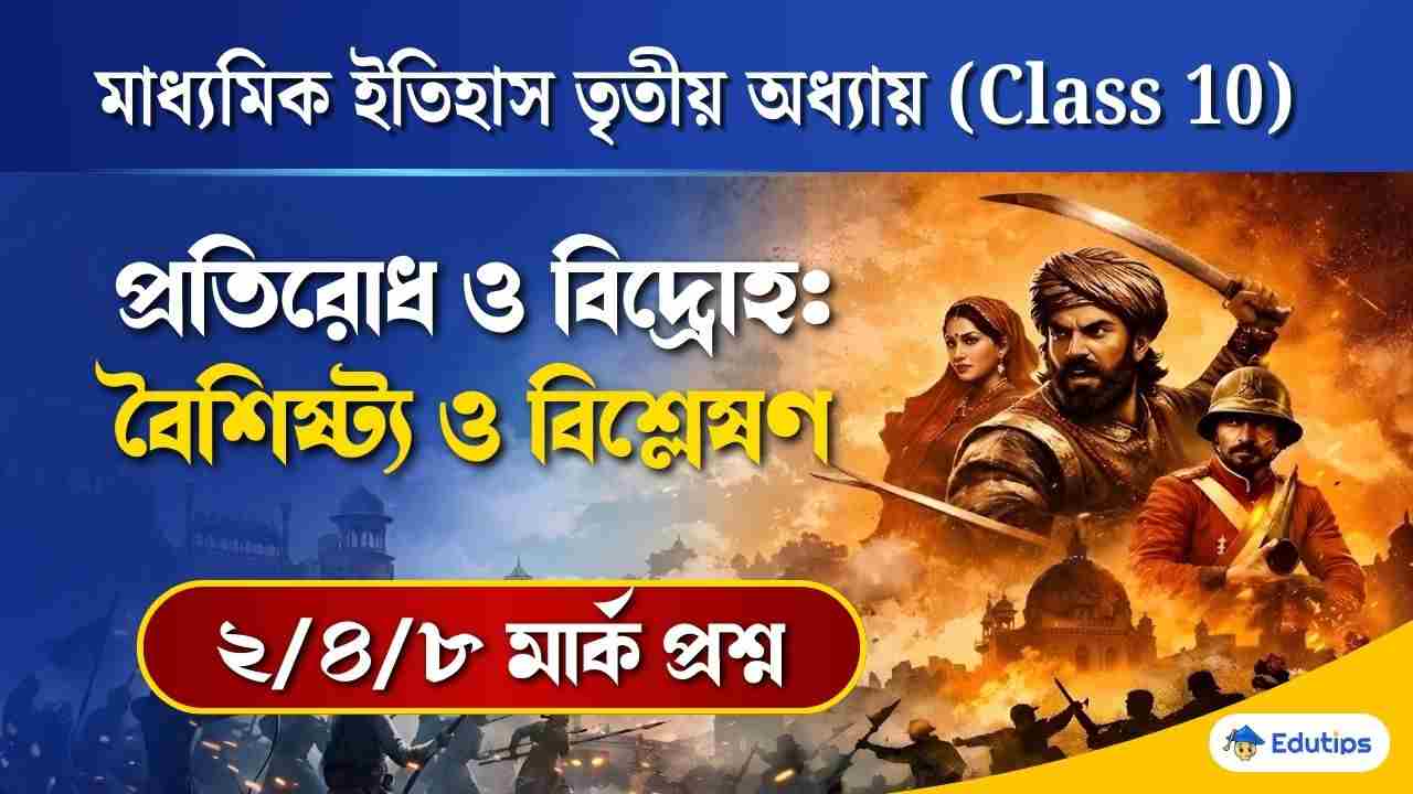Class 10 History 3rd Chapter Long Question Answer