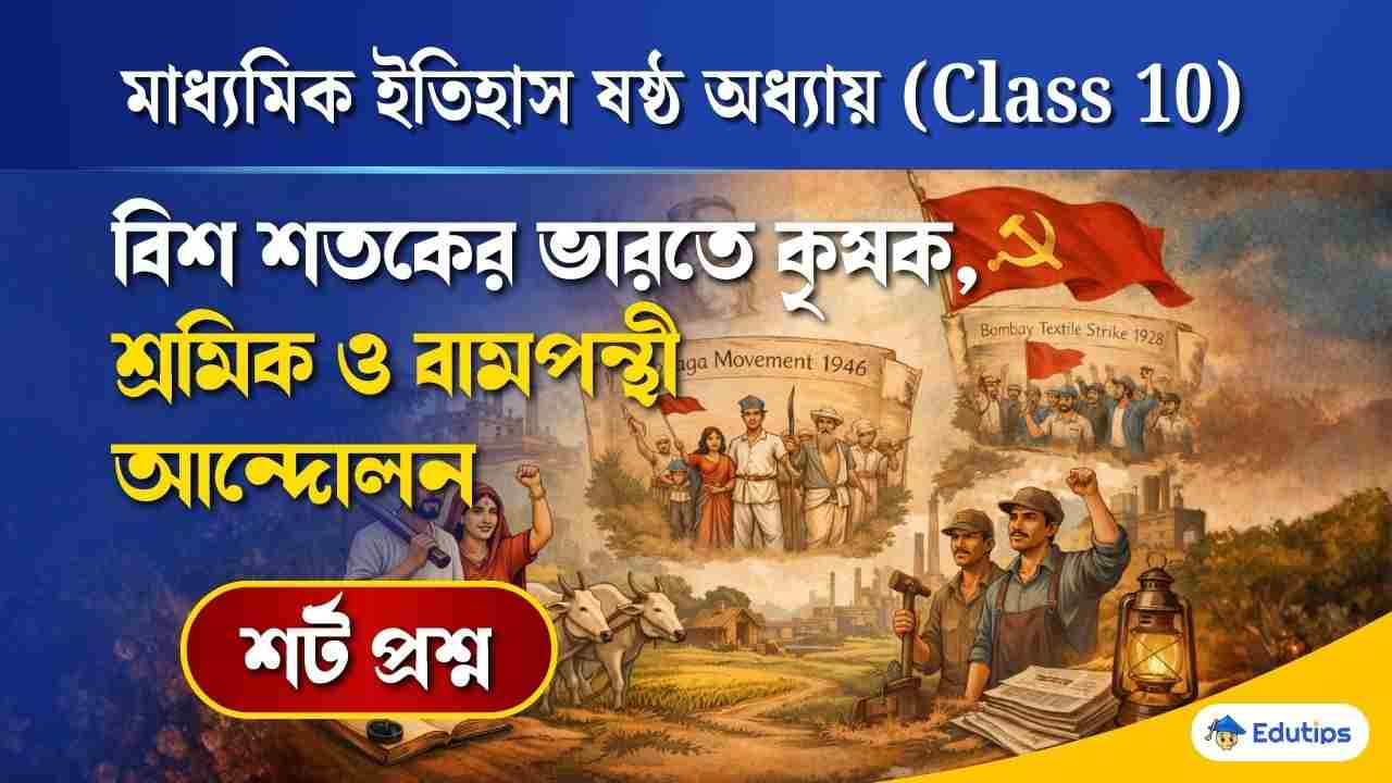 Class 10 History Chapter 6 Short Question Answer