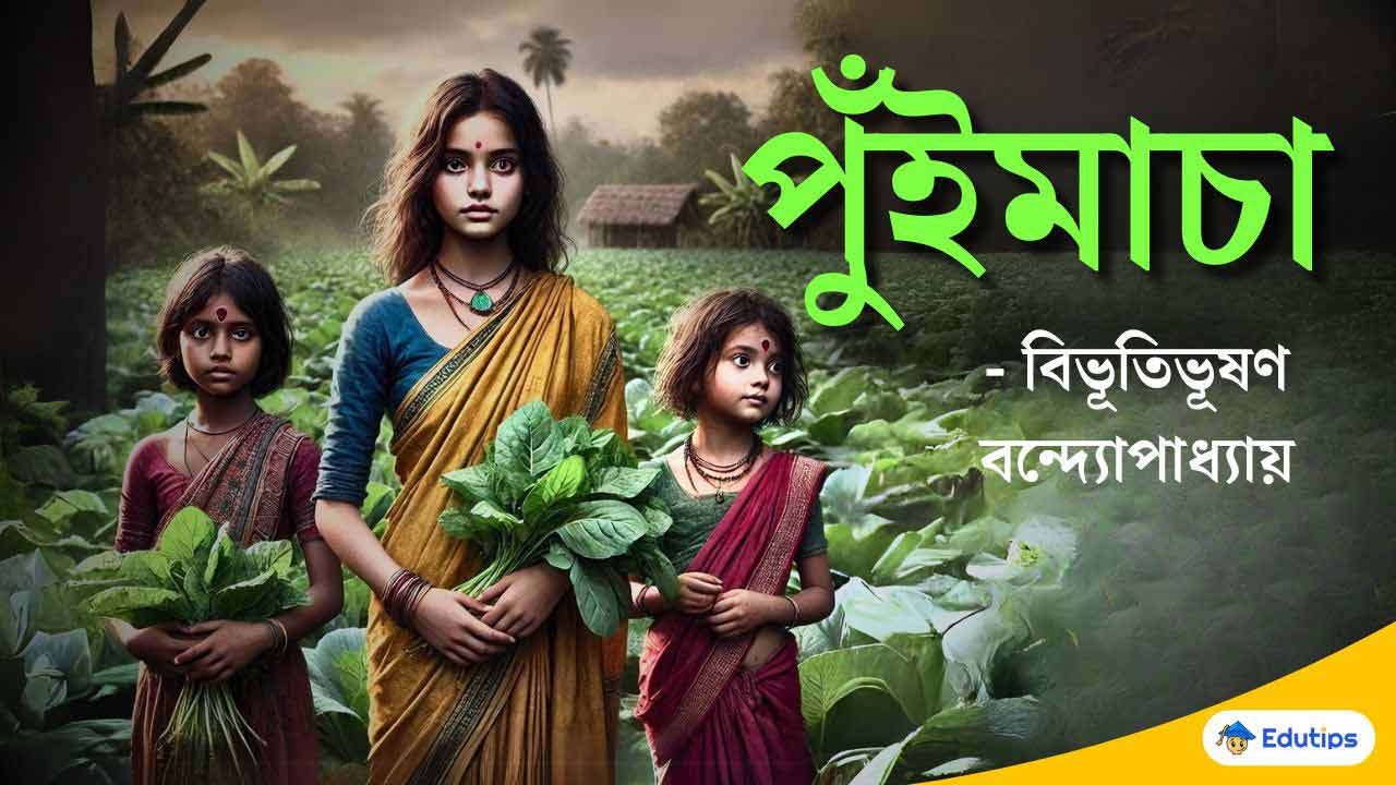 পুঁইমাচা গল্প বিভূতিভূষণ বন্দ্যোপাধ্যায় একাদশ শ্রেণির বাংলা