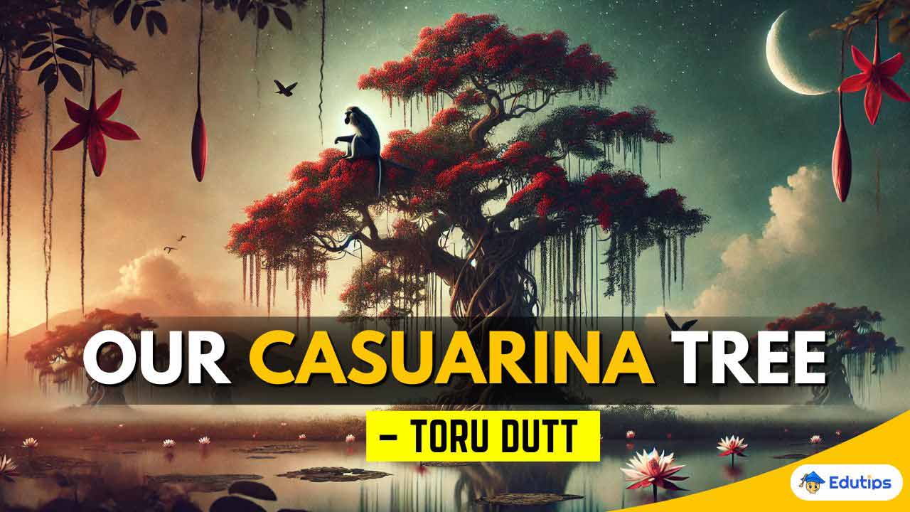Our Casuarina Tree Class 12 HS 3rd Semester Question Answer