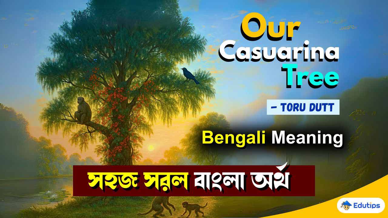 Our Casuarina Tree Bengali Meaning Class 12 3rd Semester English Poem