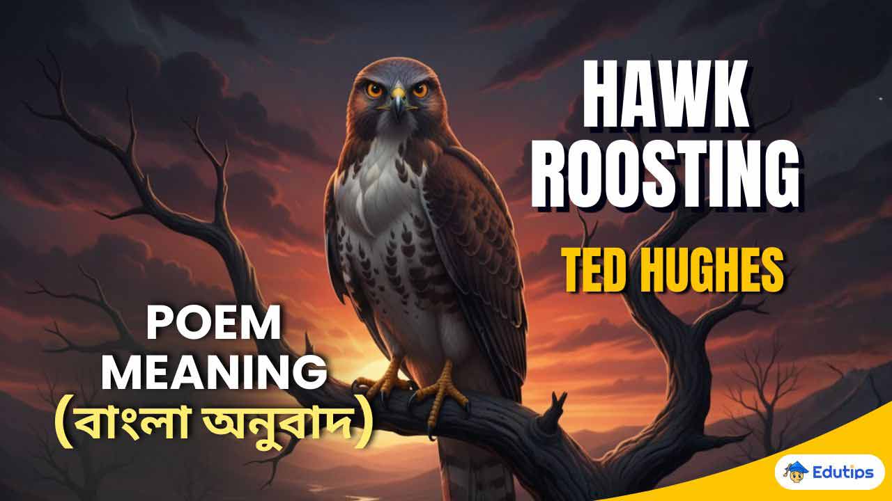 Hawk Roosting Poem Bengali Meaning Class 12 4th Semester English