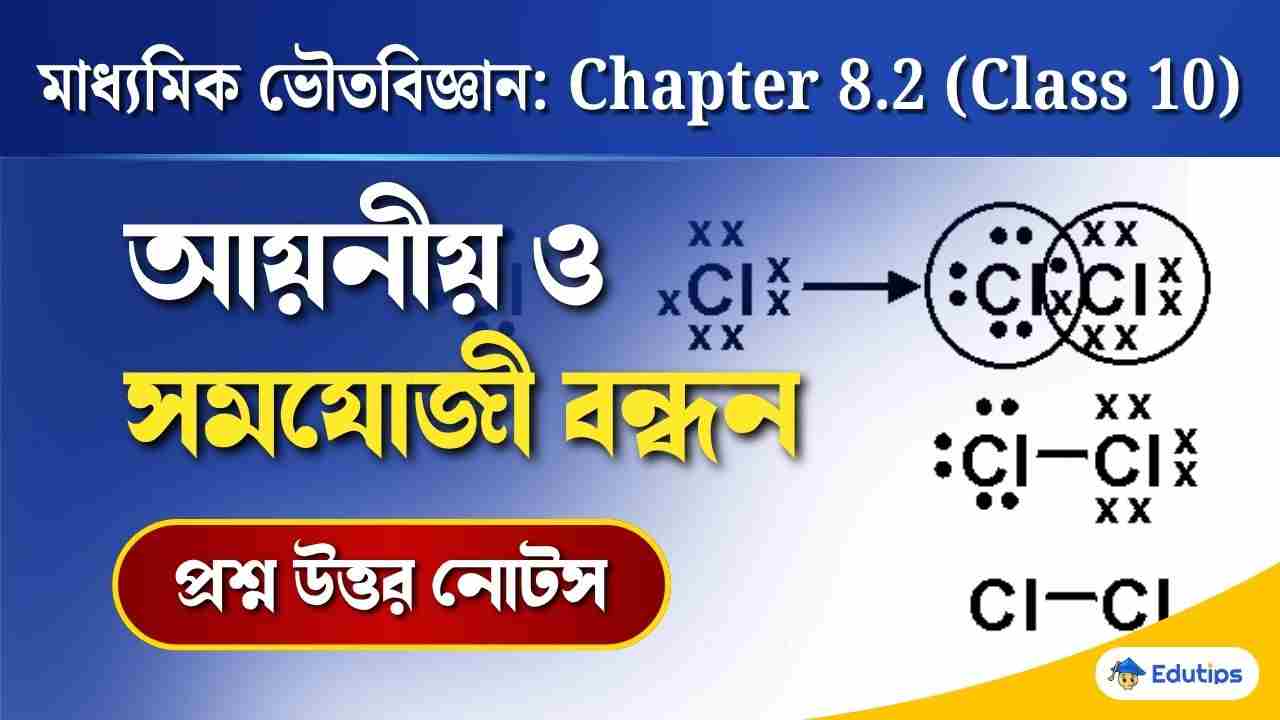 Class 10 Physical Science Chapter 8.2 Question Answer