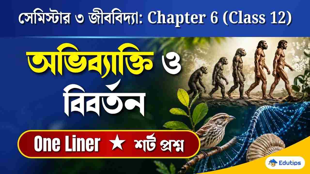 Class 12 3rd Semester Biology Chapter 6 Question Answer