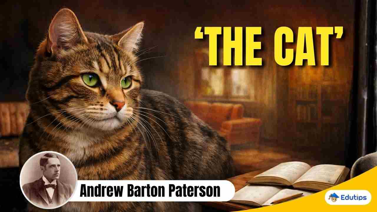 ‘The Cat’ Story Andrew Barton Paterson Question Answer Class 10 English Lesson 7