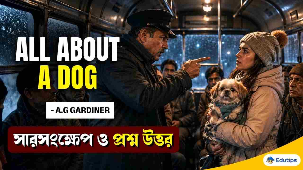 All About A Dog AG Gardiner