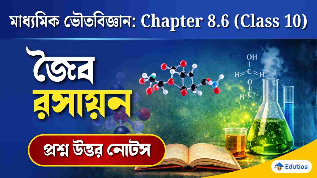Class 10 Physical Science Chapter 8.6 Question Answer