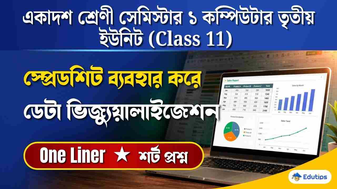 Class 11 Computer Data Visualization Using Spreadsheet