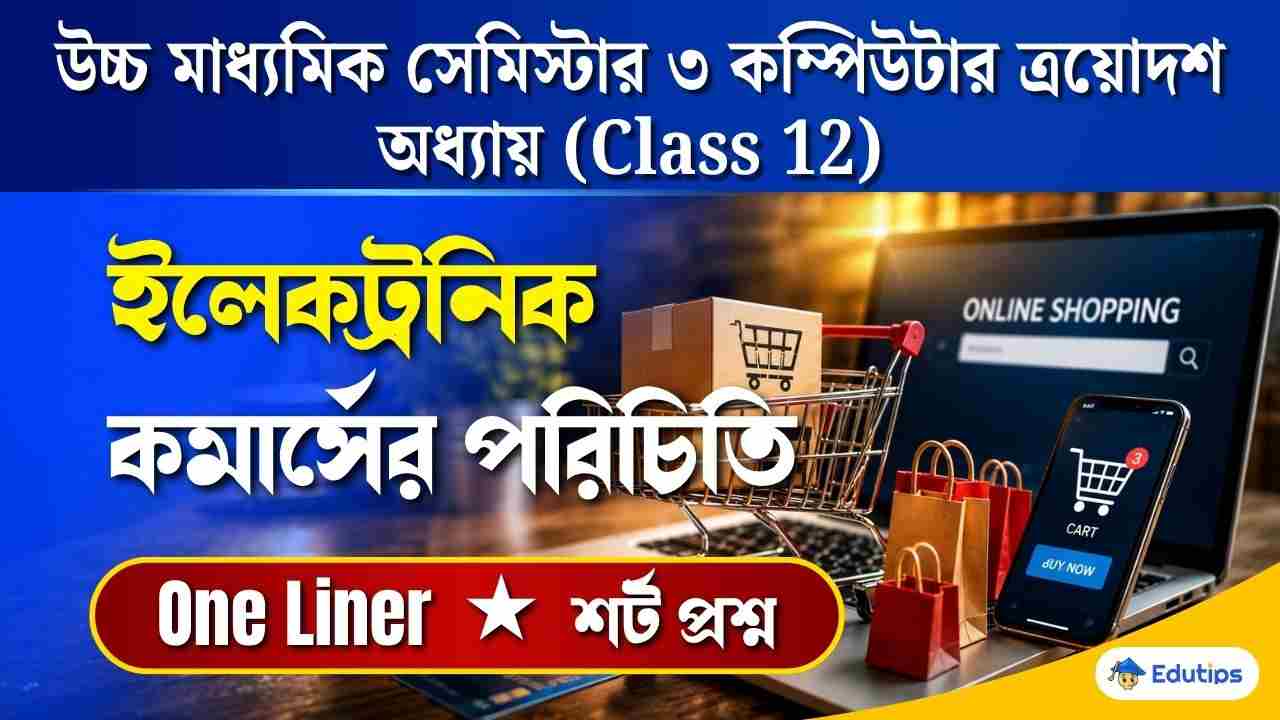 Class 12 3rd Semester Computer Application Chapter 13 Question Answer