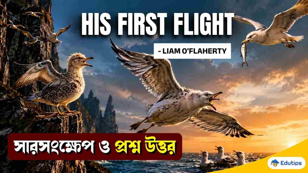 His First Flight Liam Oflaherty