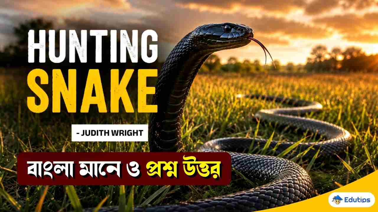 Hunting Snake Judith Wright