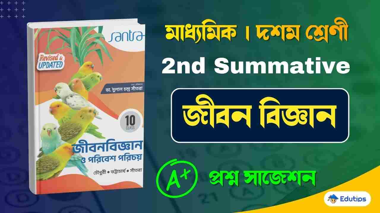 WB Class 10 Life Science Suggestion 2nd Summative Test WBBSE Madhyamik