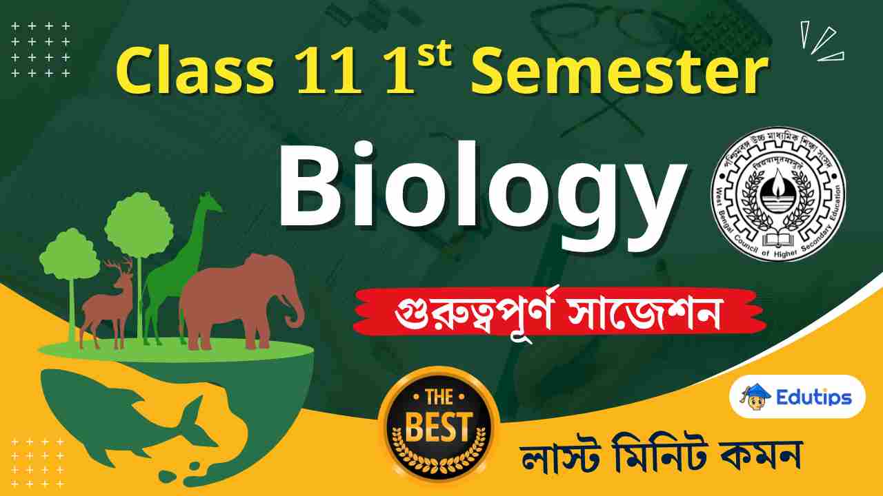 Class 11 1st Semester Biology Suggestion