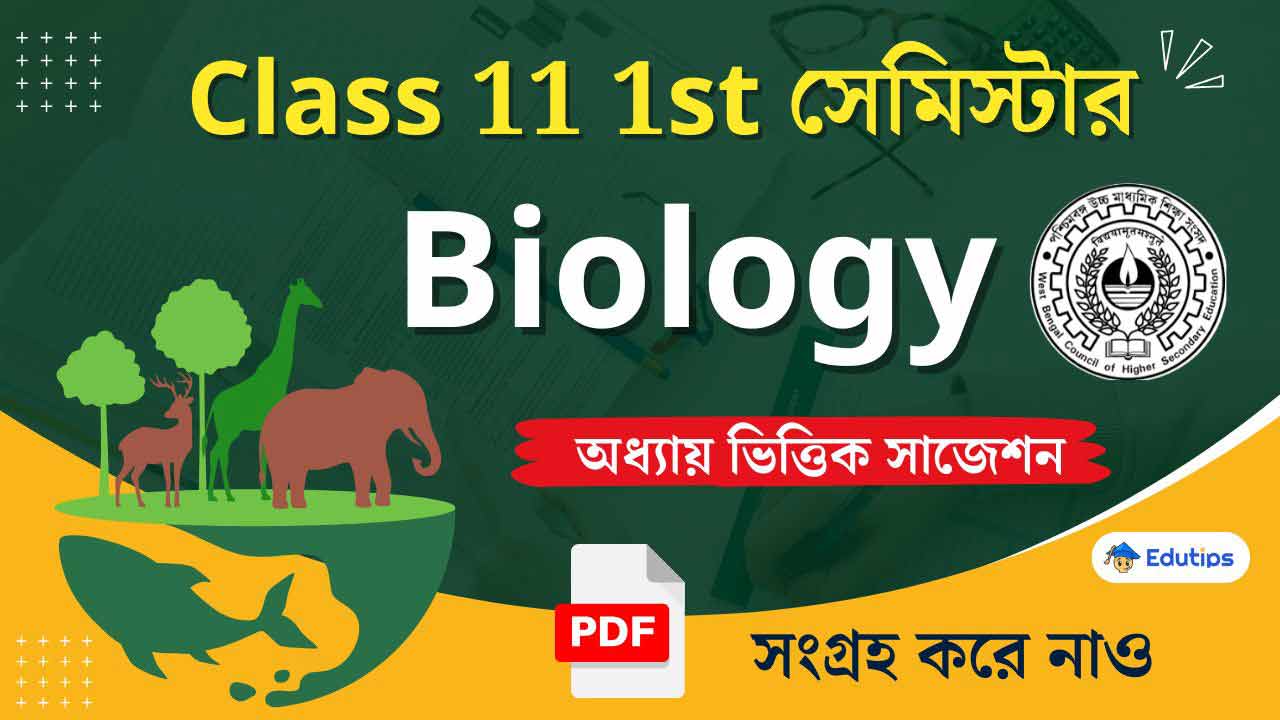 WB Class 11 1st semester Biology Suggestion Question Answer MCQ