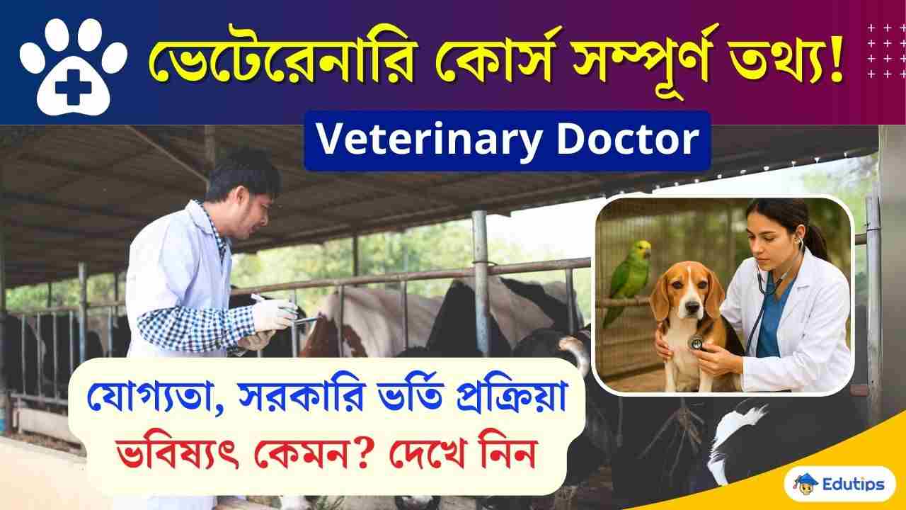 Veterinary Doctor Career Eligibility Details Exam