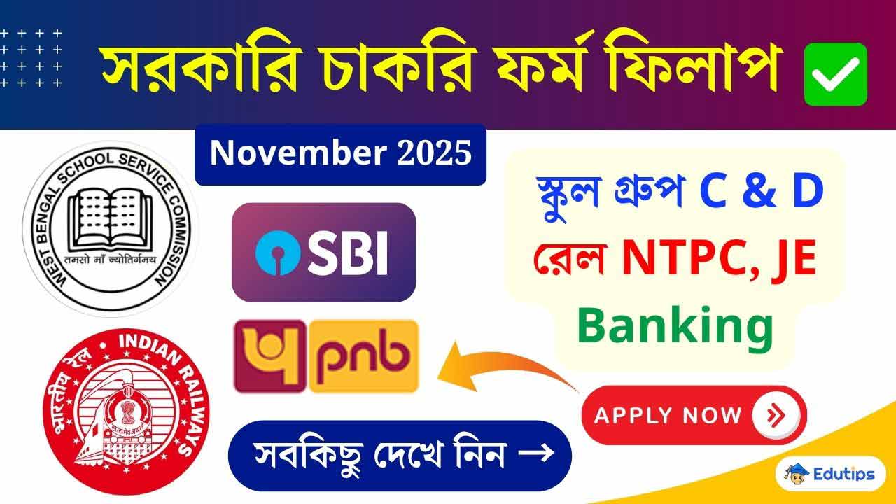 Govt Job Application Form Fill Up Going November 2025